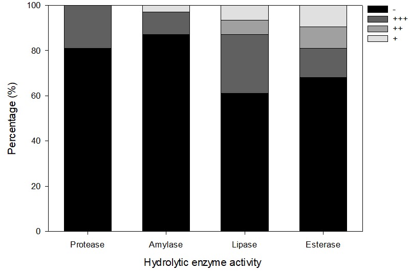 Hydrolytic enzyme activity-c1fbe0e0